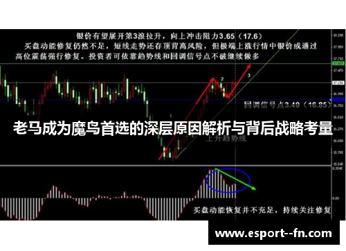 老马成为魔鸟首选的深层原因解析与背后战略考量